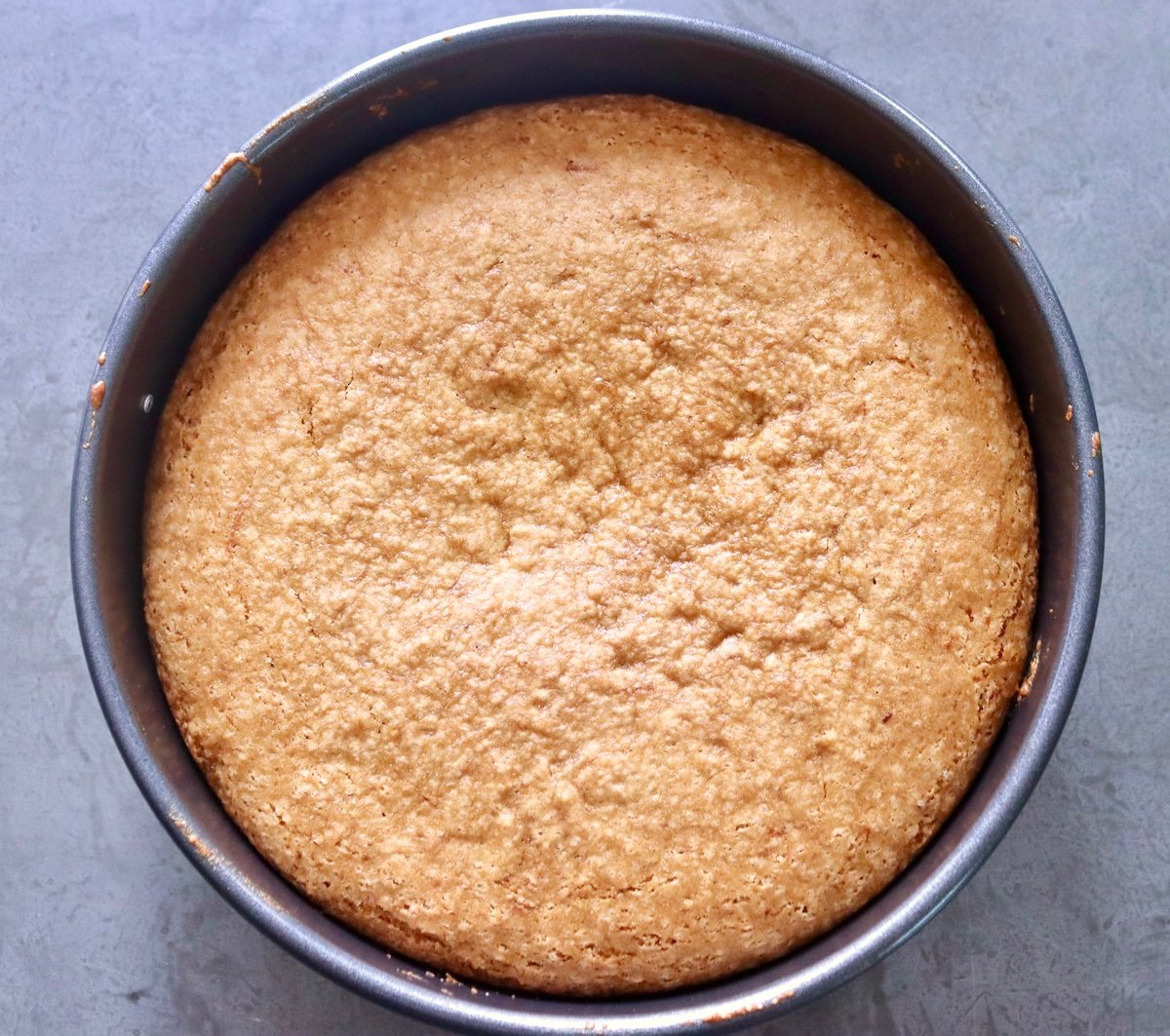 Baked golden lemon cake in cake pan.