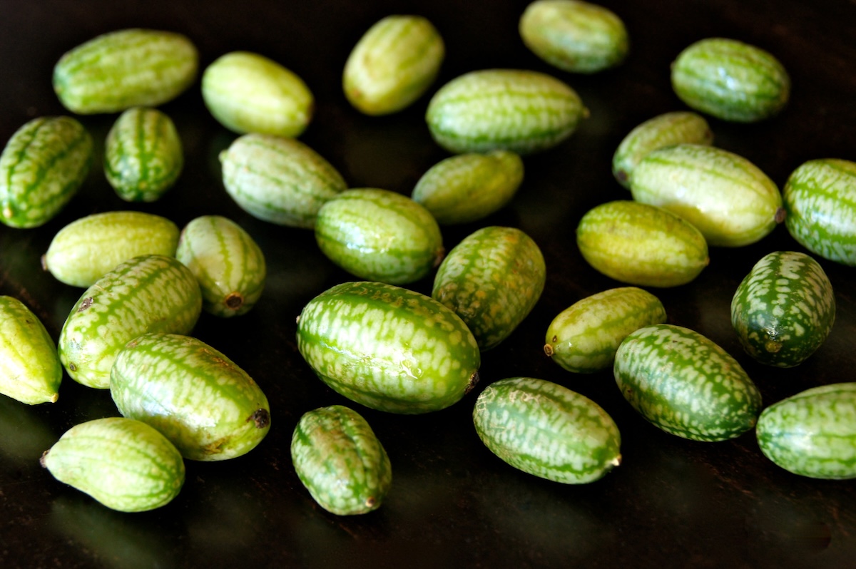 Several cucamelons on a black background.