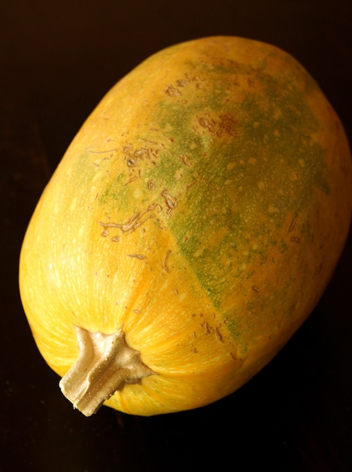 One whole spaghetti squash on a black background.