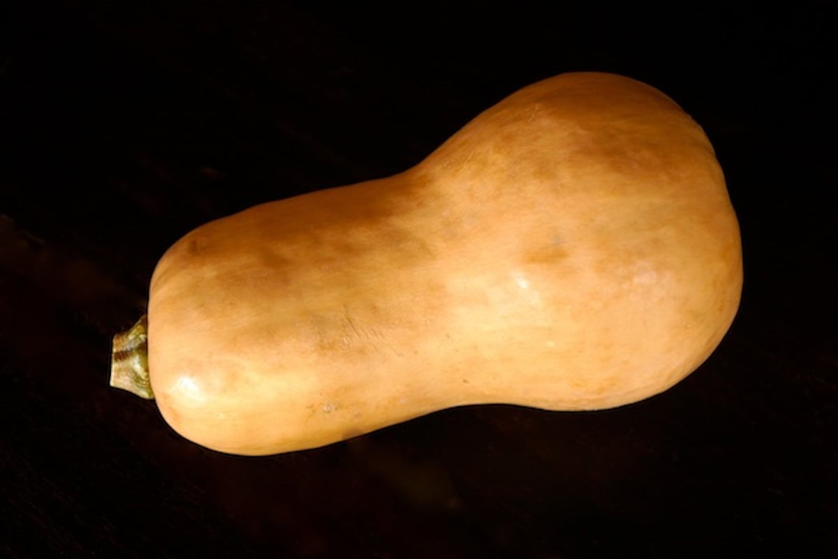 One whole butternut squash on a black background.