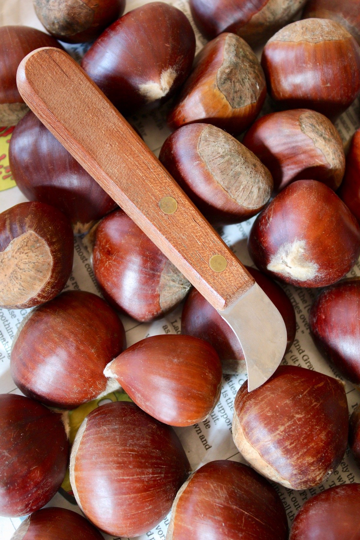 Whole raw chestnuts in shell with chestnut knife on top