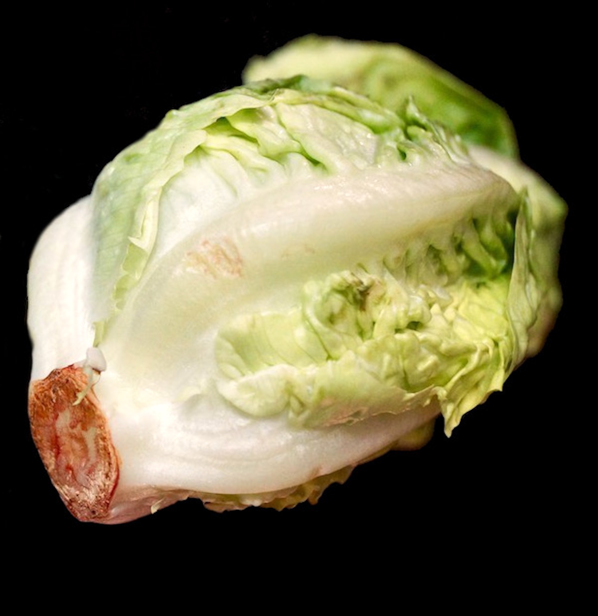 Grilled-Little-Gem-Lettuce-Salad One head of little gem lettuce on black background.