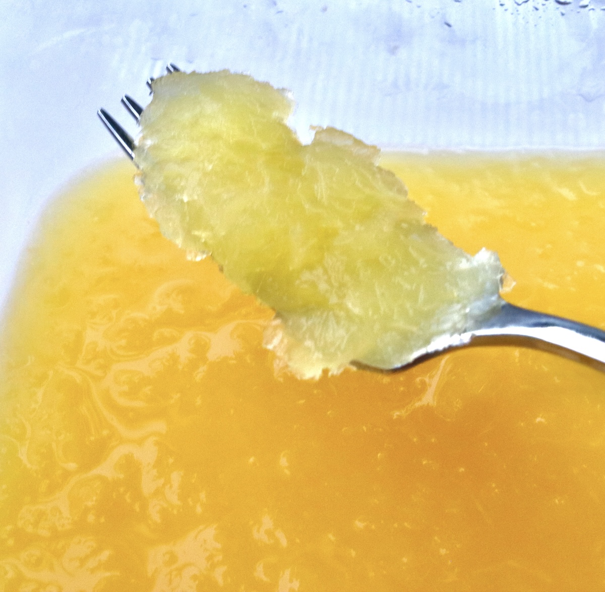Frozen-Mimosa Plastic container with frozen mimosa and a fork holding some in the air.
