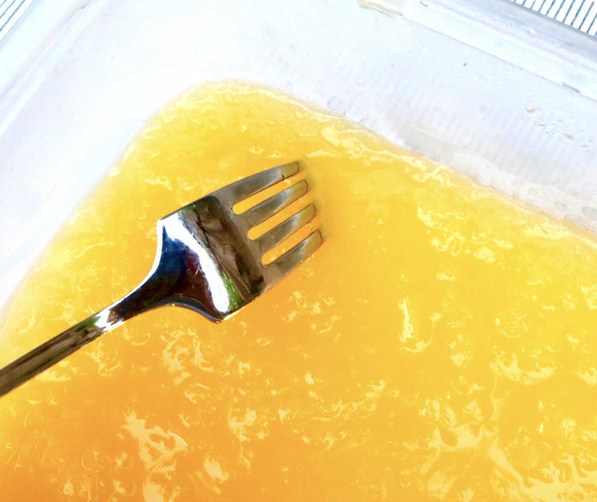 Frozen-Mimosa Plastic container with frozen mimosa and a fork.