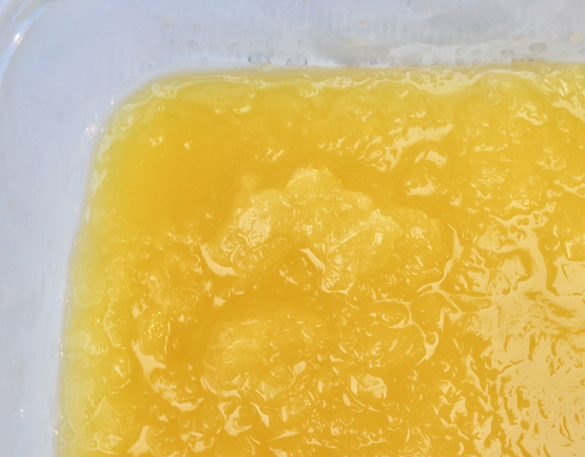 Frozen-Mimosa Plastic container with frozen mimosa.