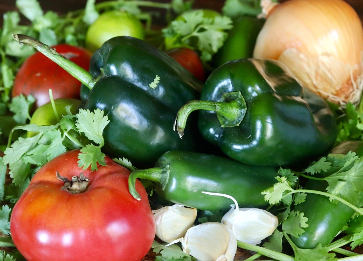 Shiny dark green poblano peppers, jalapenos, tomatoes, brown onion and garlic cloves on a bed of cilantro sprigs.