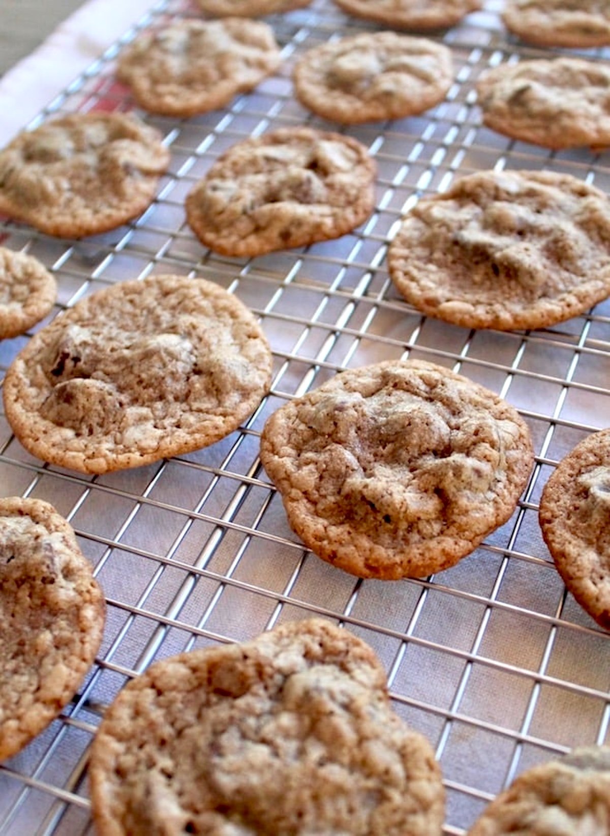 Baked Chestnut Cookies with Chocolate Chips on wire cooling rack.