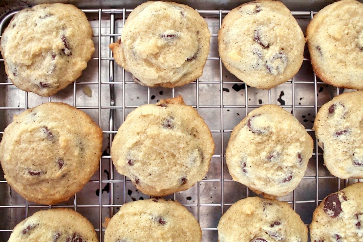 About a dozen baked coconut flour chocolate chip cookies on a baking rack.