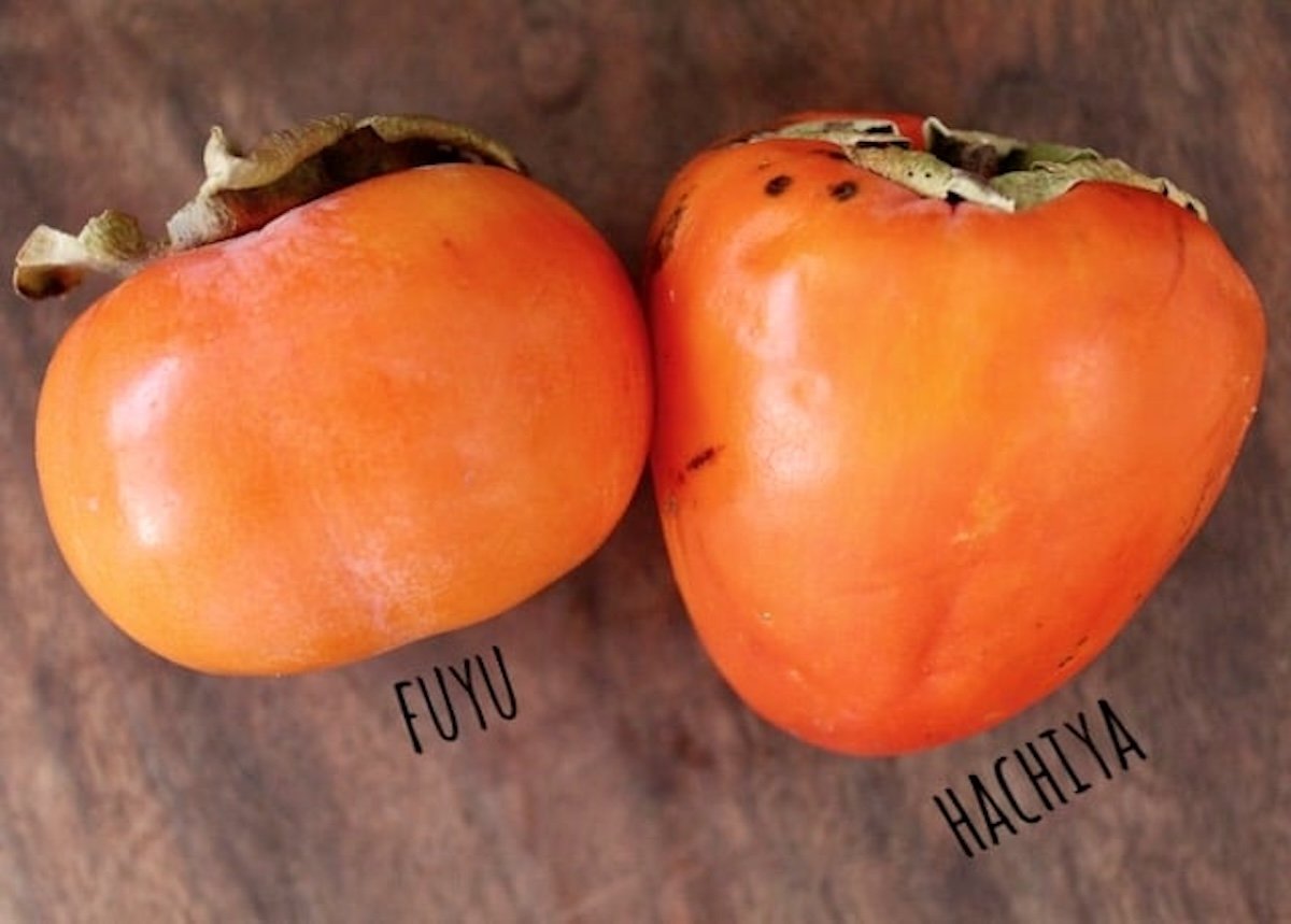 One hachiya and one fuyu persimmon on wooden surface.