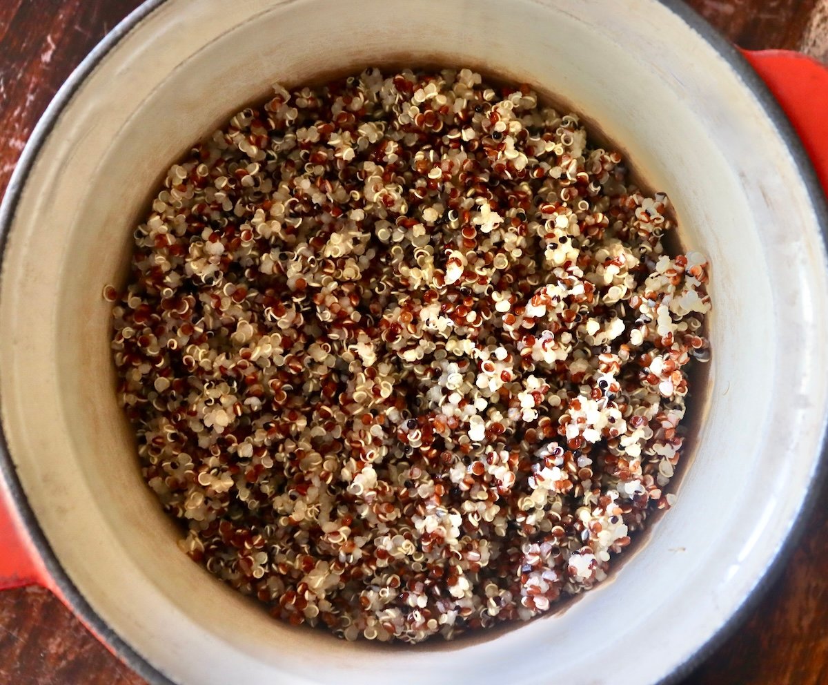 Top view of a pot with multi-colored cooked quinoa.