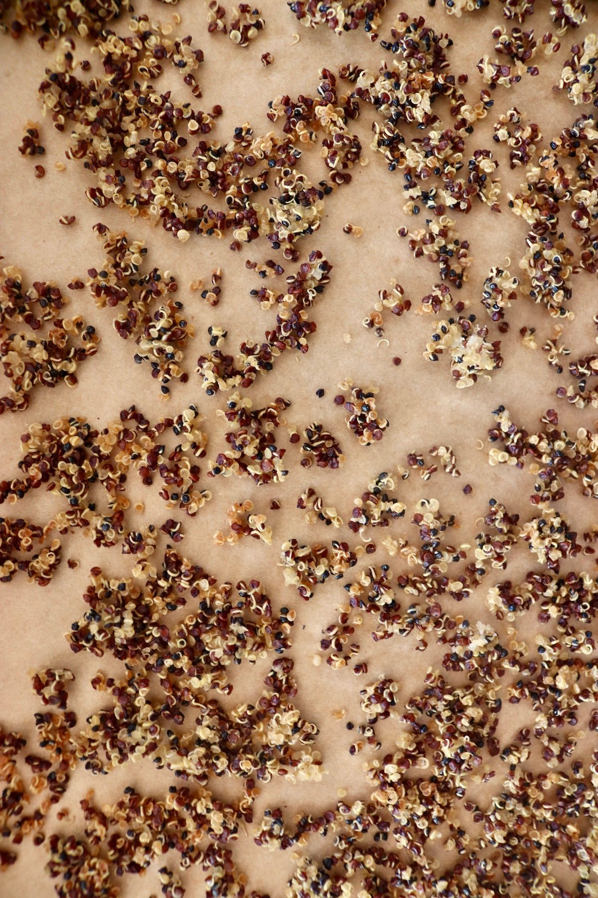 Crispy Quinoa on a parchment-lined baking sheet.