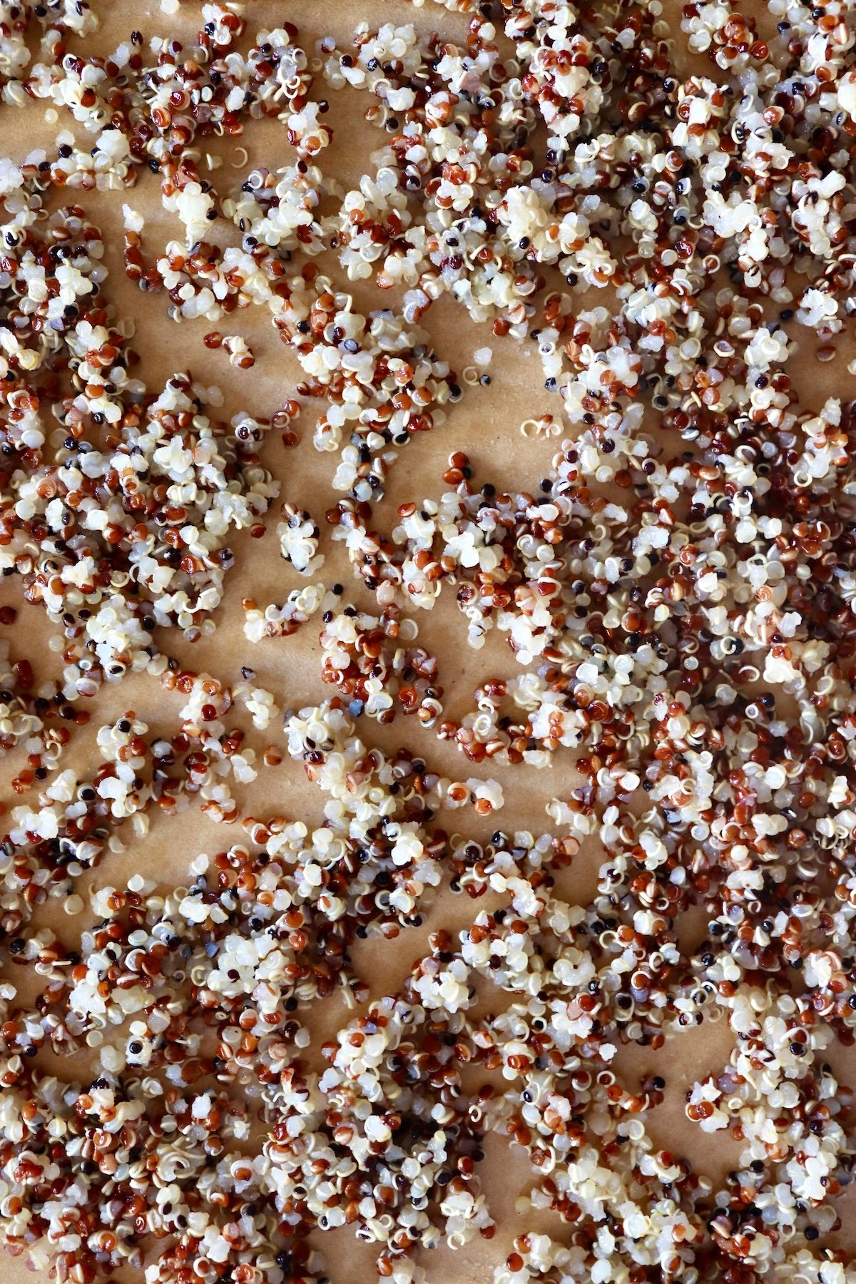 Cooked quinoa on a parchment-lined baking sheet.