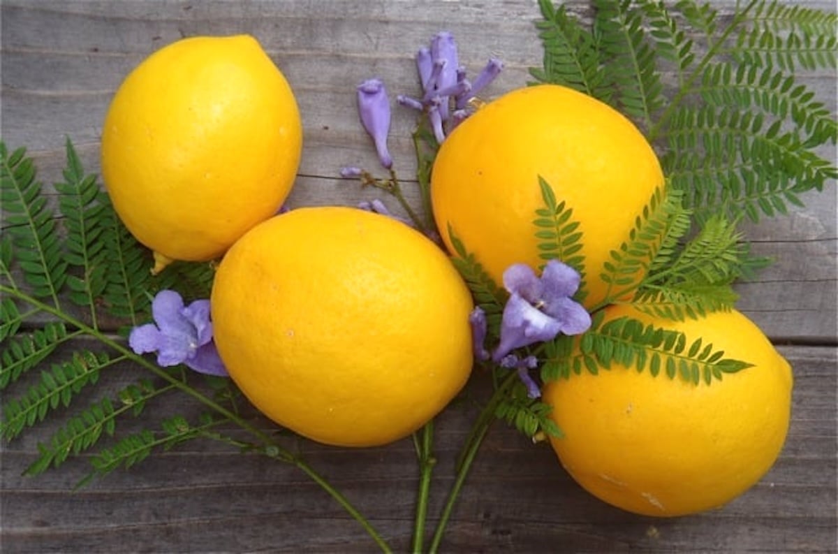 Four deep yellow lemons with Jacaranda flowers on wooden surface.