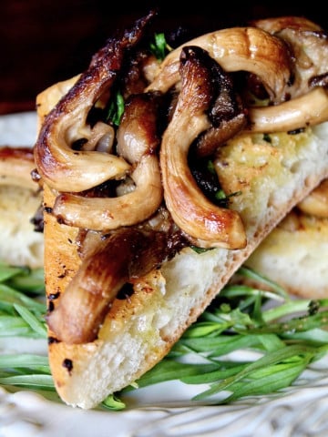 Oyster mushrooms with tarragon on triangle of bread