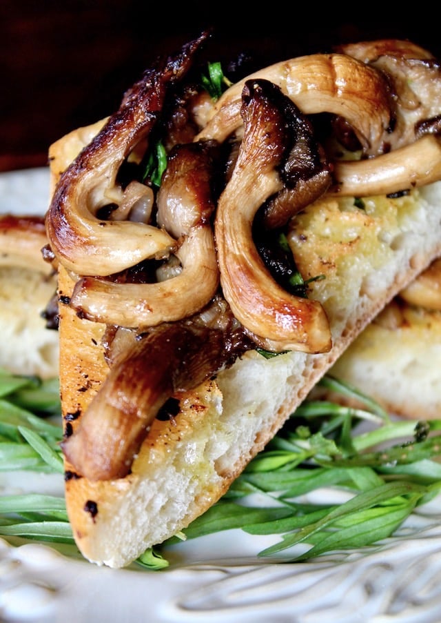 Oyster mushrooms with tarragon on triangle of bread