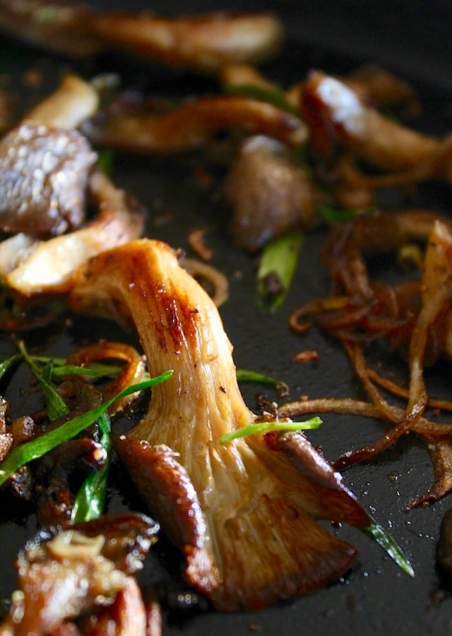 close up of sauteed oyster mushrooms in saute pan