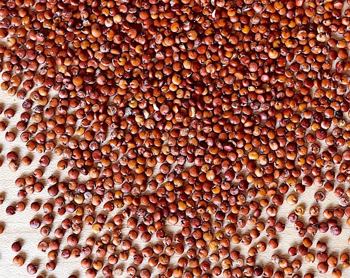 Red quinoa poured out onto a table.