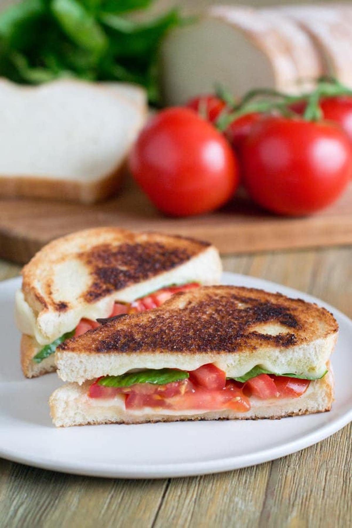 Caprese grilled cheese sandwich on a white plate with tomatoes behind it.