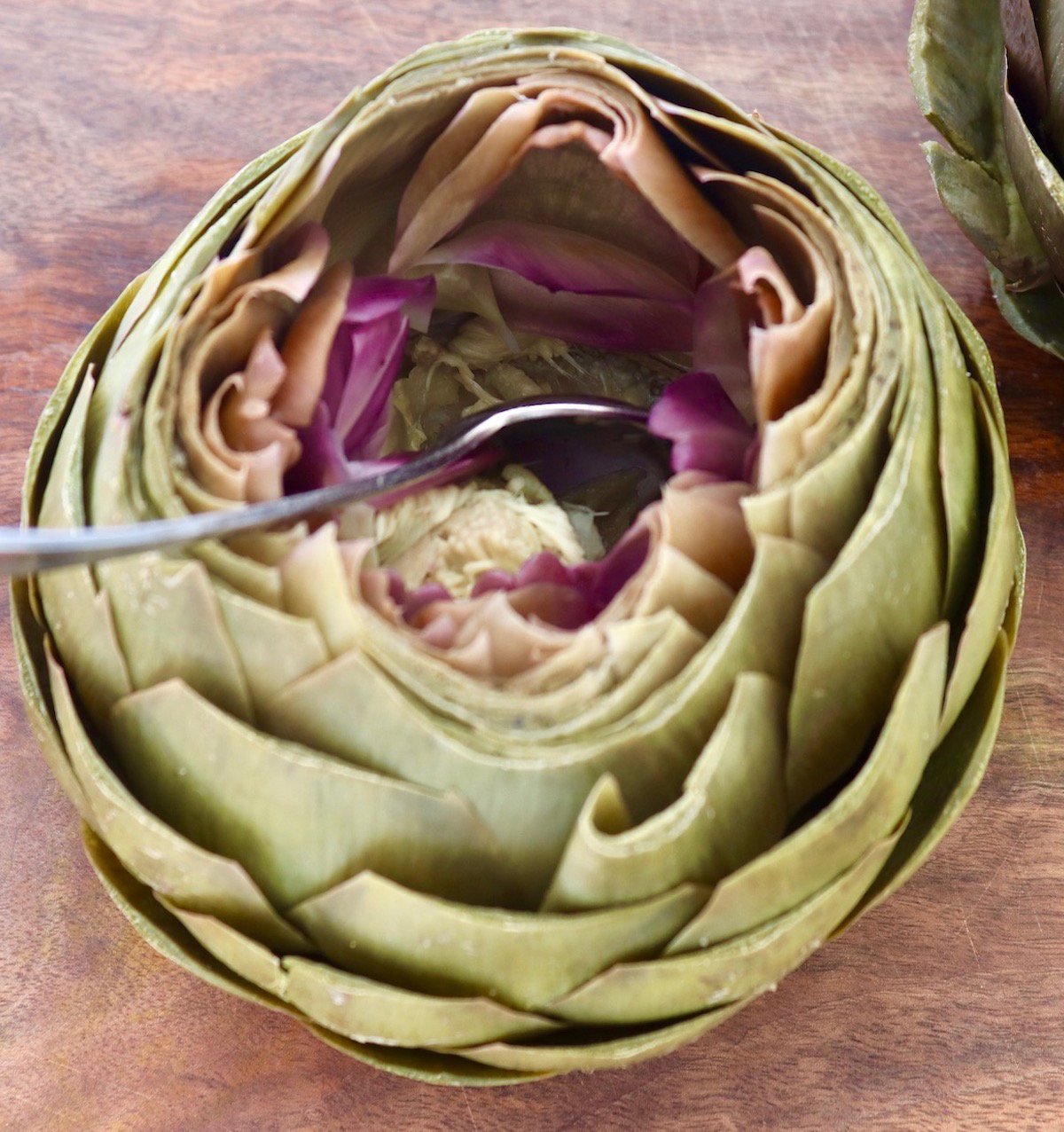 Spoon inside the middle of a steamed artichoke removing fuzz.