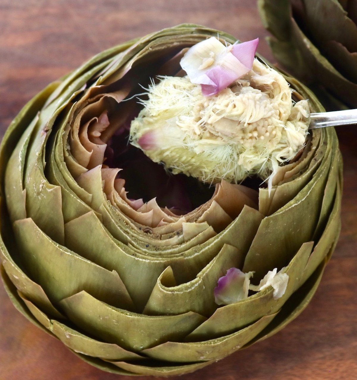 Top view of a steamed artichoke with a spoon holding up the choke that's been removed from the inside.