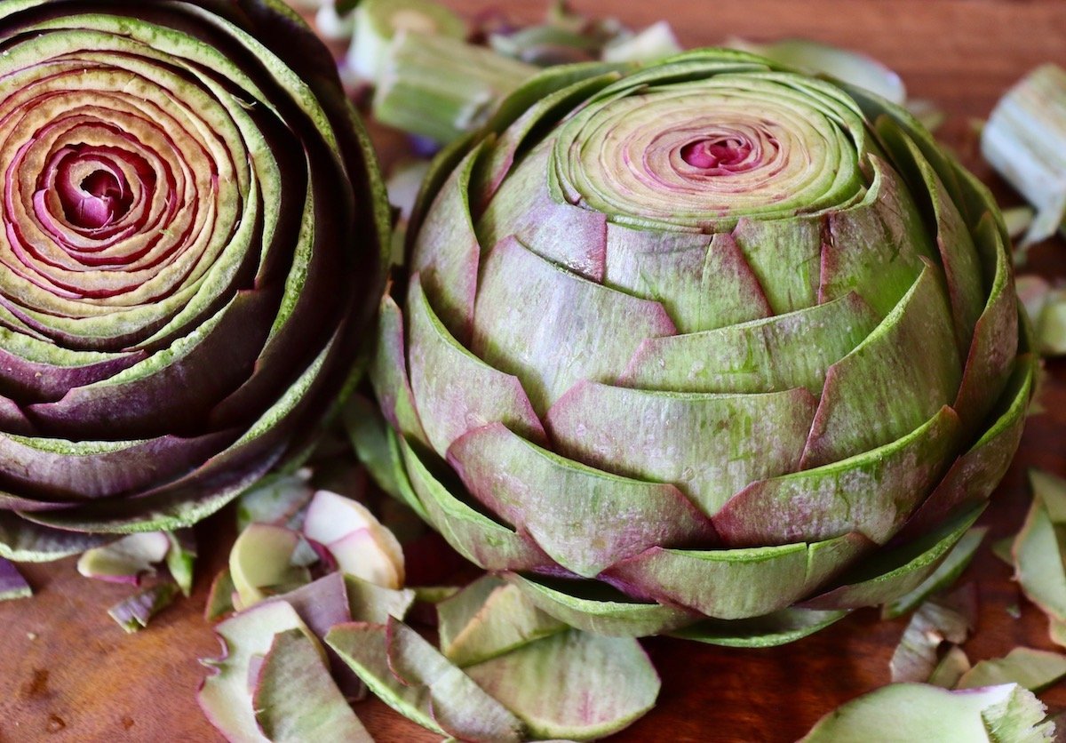 Large green-purple artichoke with top cut off and all of the leaves trimmed of their sharp edges.
