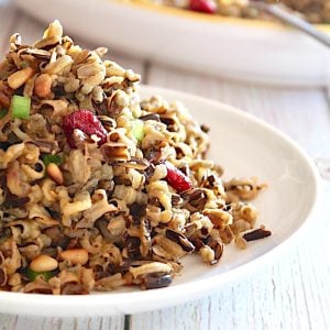 Close up of cranberry wild rice on a white plate