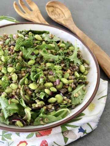 Top view of lentil and edamame salad in a large bowl with wooden servers next to it.