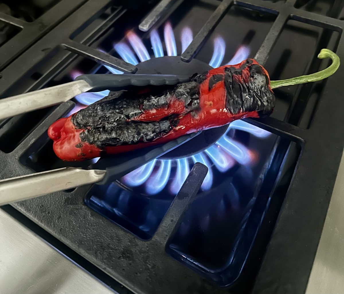 Shishito-Pepper-Salsa-Recipe Charred red long sweet pepper with kitchen tongs over high heat.