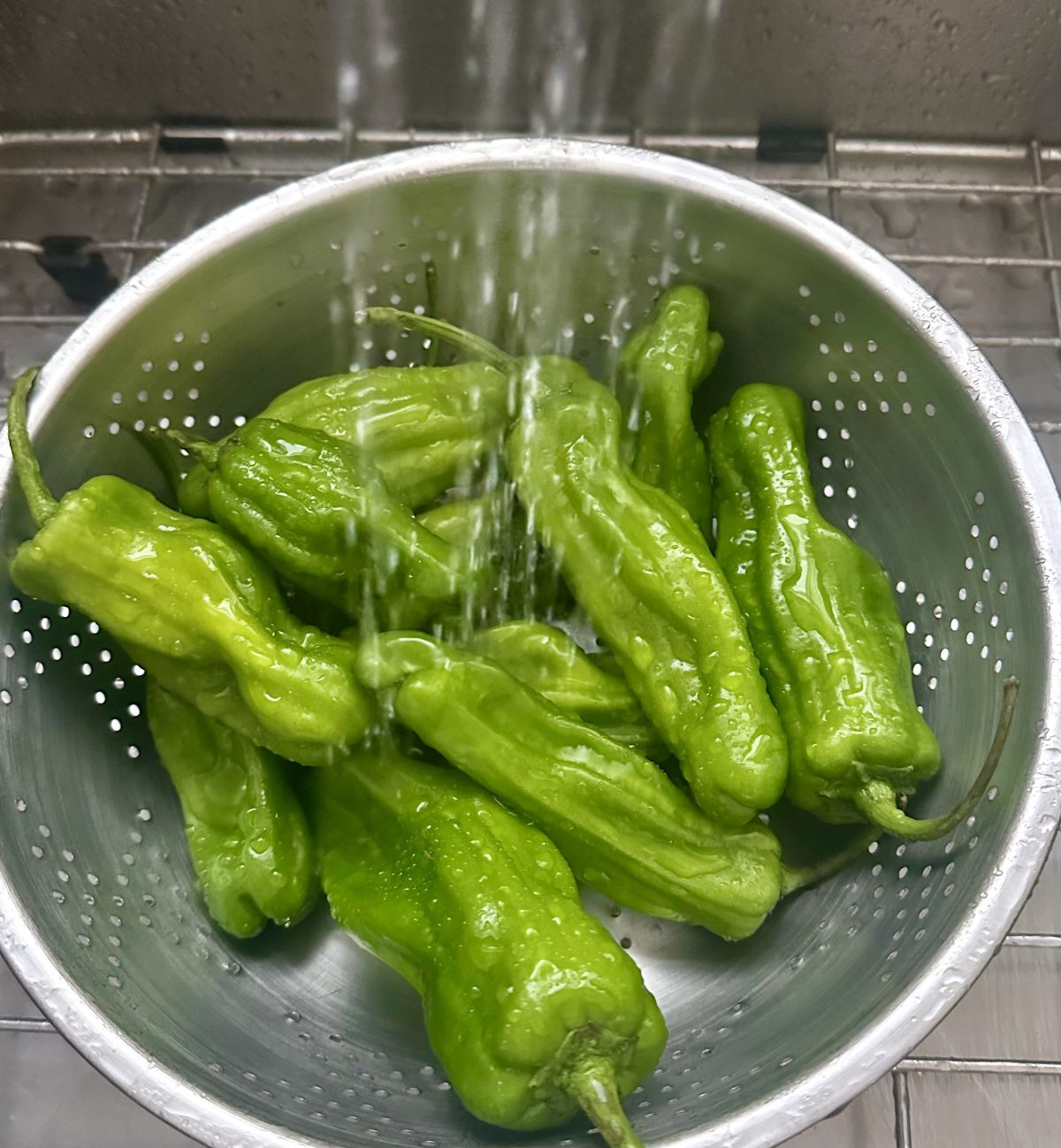 Shishito-Pepper-Salsa-Recipe Shishito peppers in a strainer with water rinsing them off.