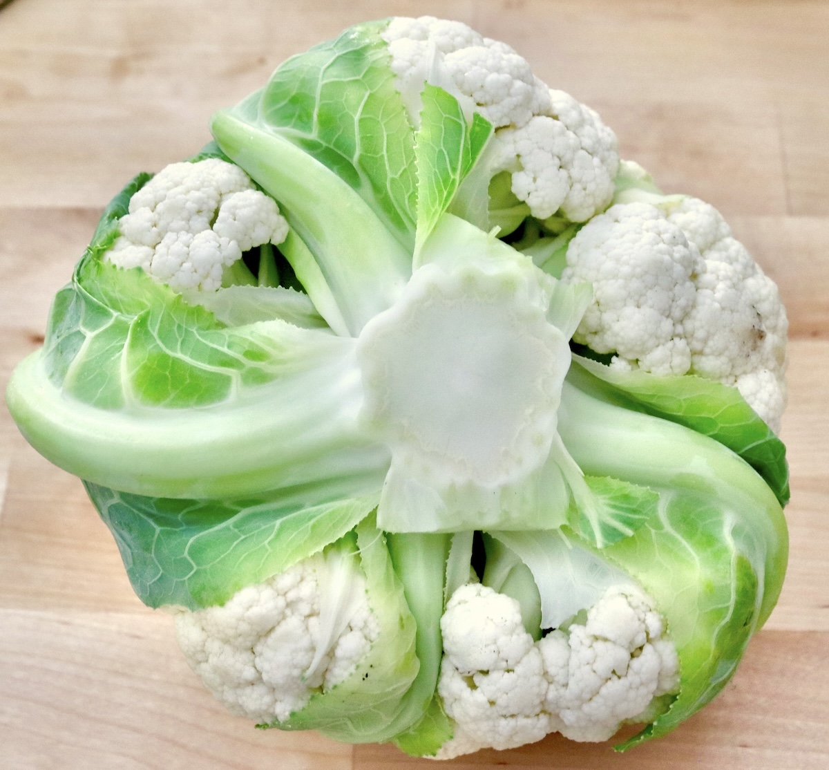Whole-Cauliflower-One-Pan-Dinner-with-Tahini-Sauce A whole cauliflower with the root end up, with a few leaves intact.