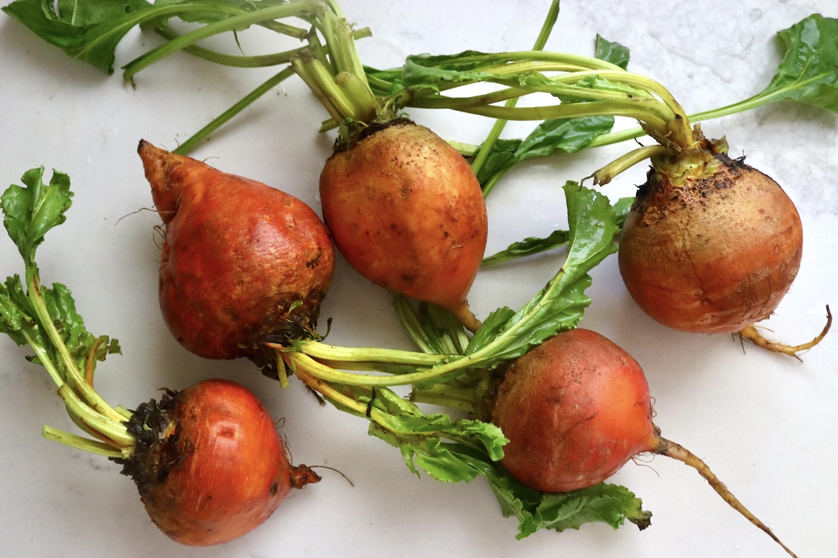 5 large golden/orange beets with stems, on white marble background.